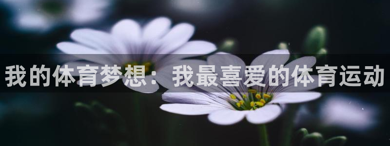 我的体育梦想：我最喜爱的体育运动
