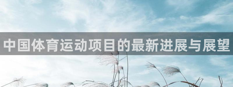 中国体育运动项目的最新进展与展望