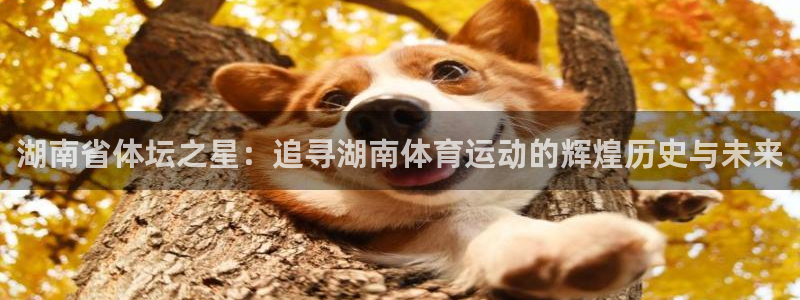 湖南省体坛之星：追寻湖南体育运动的辉煌历史与未来