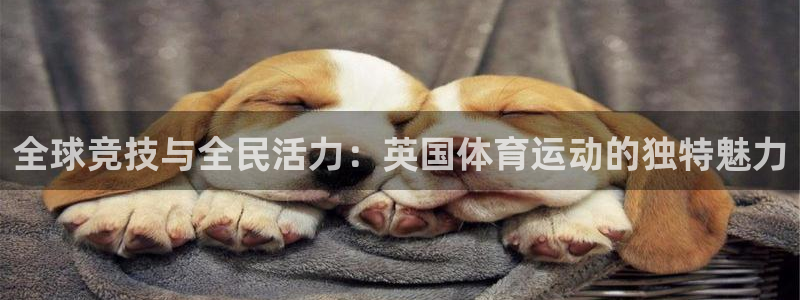 全球竞技与全民活力：英国体育运动的独特魅力