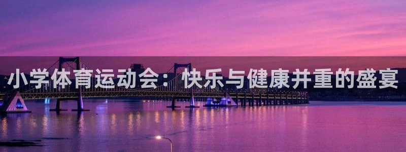 小学体育运动会：快乐与健康并重的盛宴