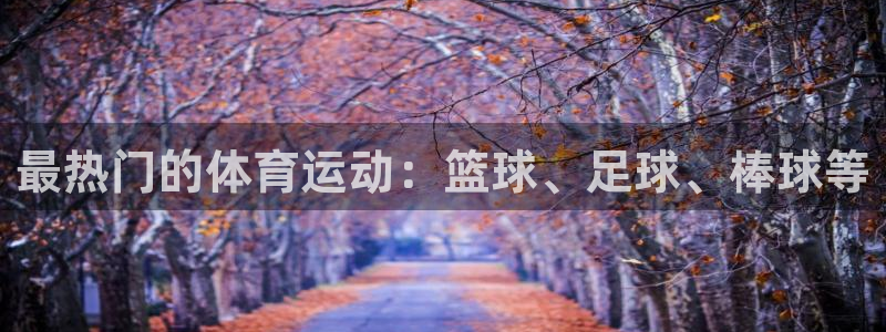 最热门的体育运动：篮球、足球、棒球等