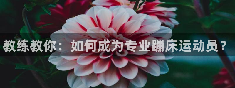 教练教你：如何成为专业蹦床运动员？