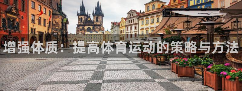 增强体质：提高体育运动的策略与方法