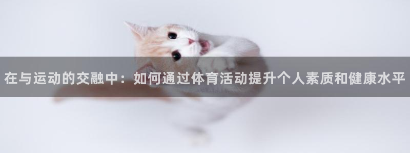 在与运动的交融中：如何通过体育活动提升个人素质和健康水平